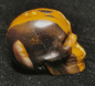 Preview: Yellow Leaves Stone Skull